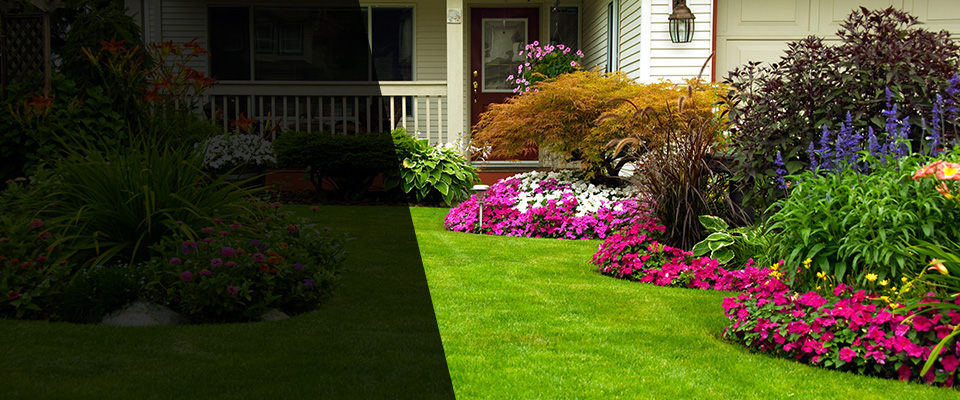 Mansfield Landscapers